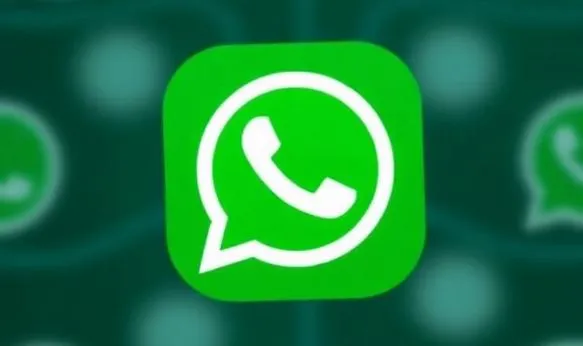 WhatsApp app showing new customization options with 14 icon styles and 19 theme colors on Android settings screen.